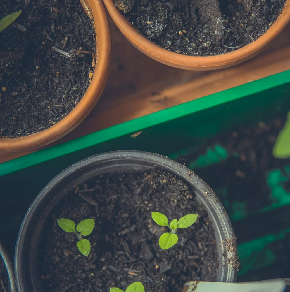 Climate-Resilient Breeding