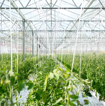 Greenhouse and breeding facilities